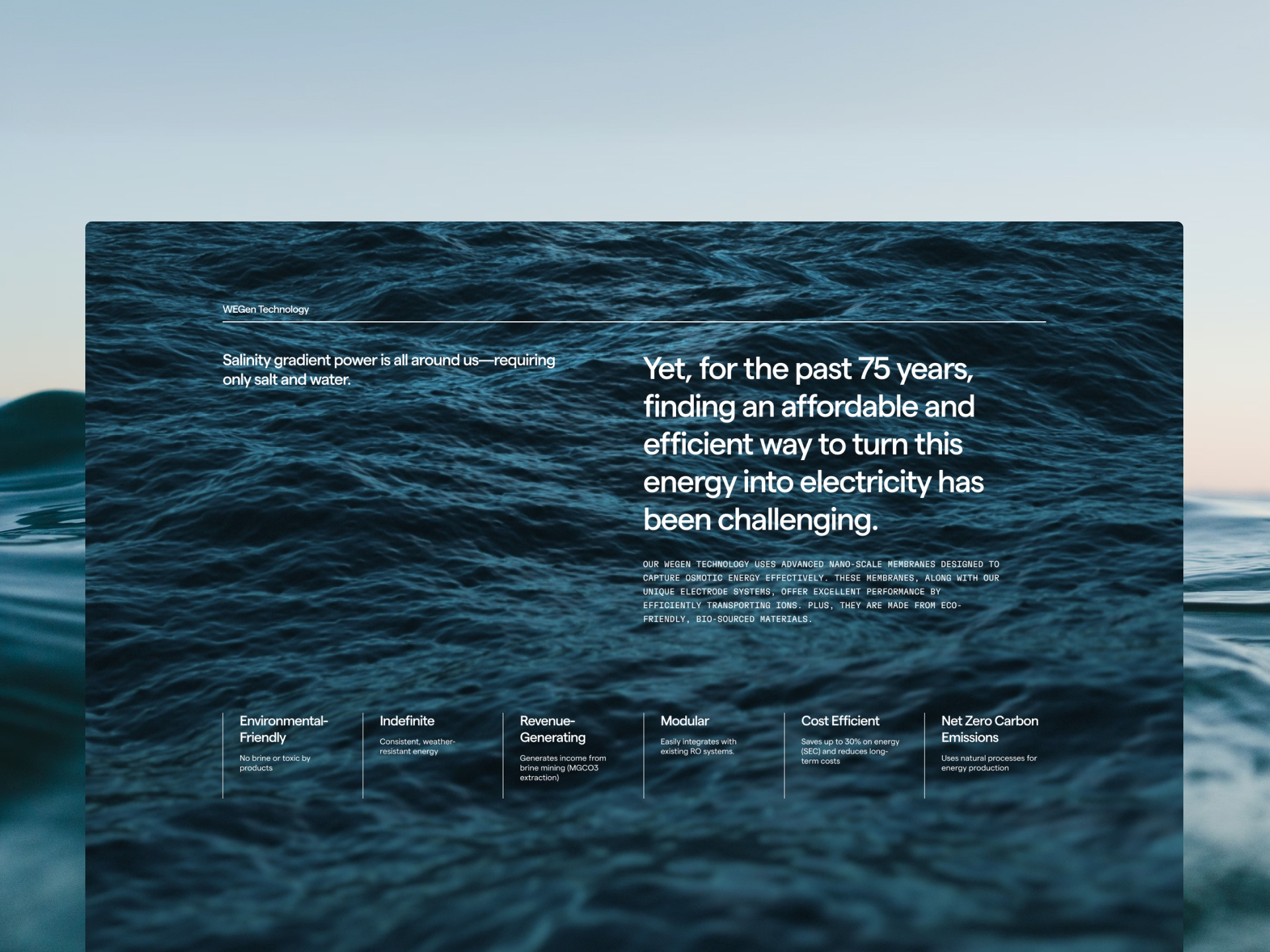 Medisun project gallery image, web design and branding by CR38