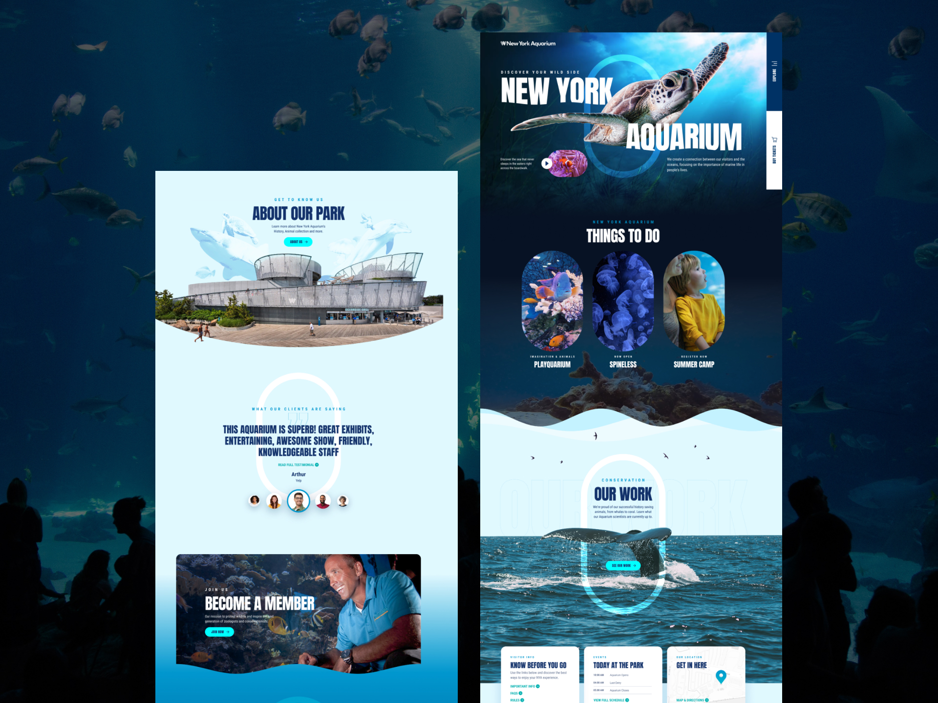 New York City Aquarium project gallery image, web design and branding by CR38