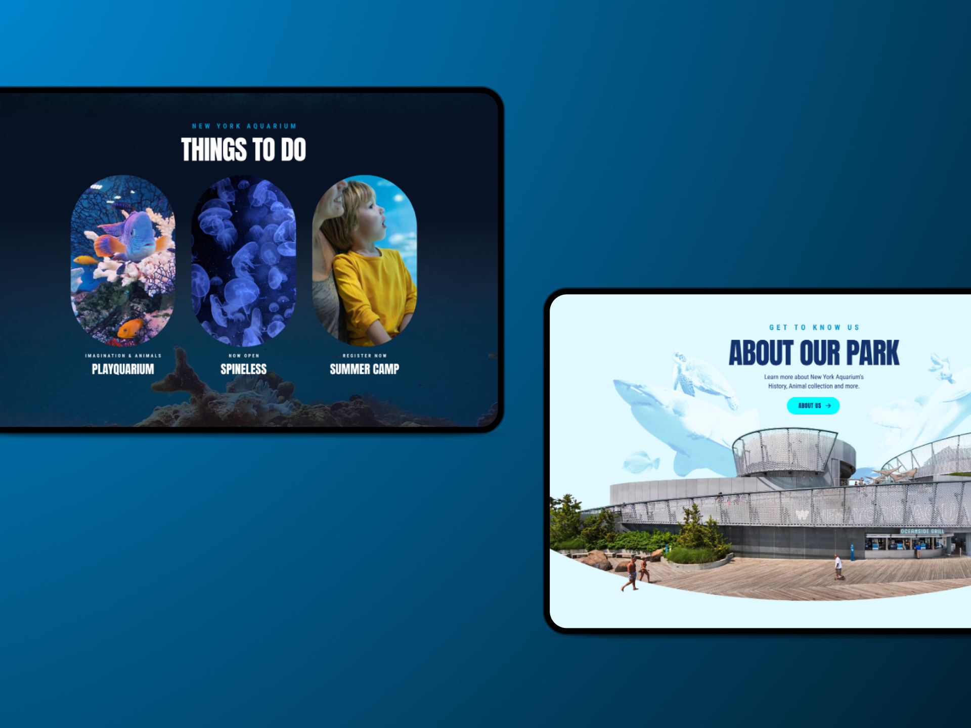 New York City Aquarium project gallery image, web design and branding by CR38