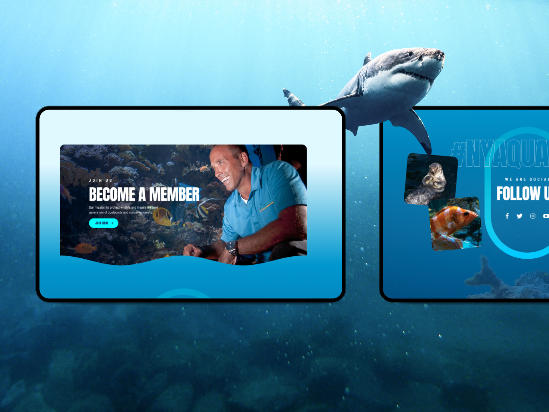 New York City Aquarium project gallery image, web design and branding by CR38