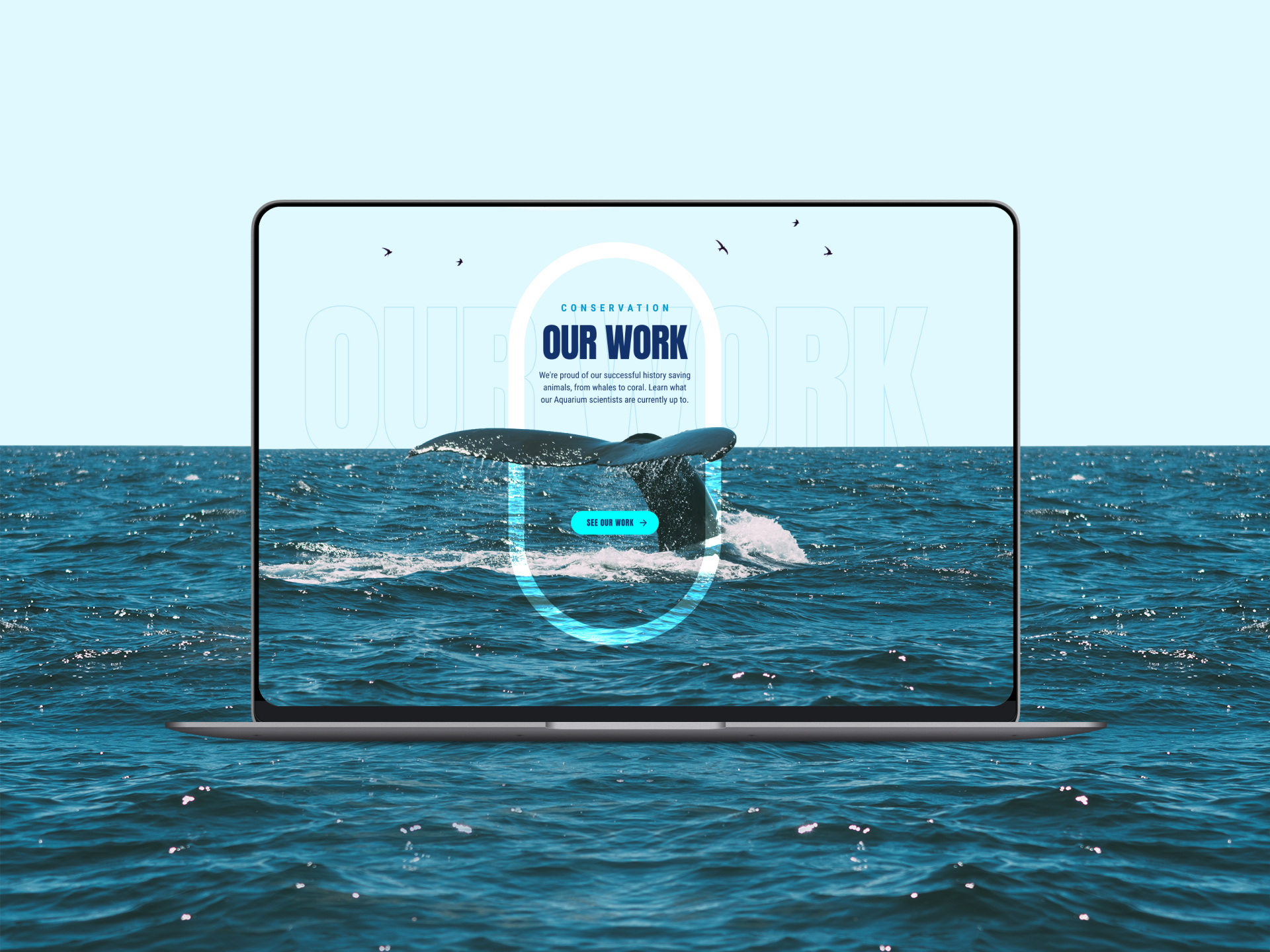 New York City Aquarium project gallery image, web design and branding by CR38