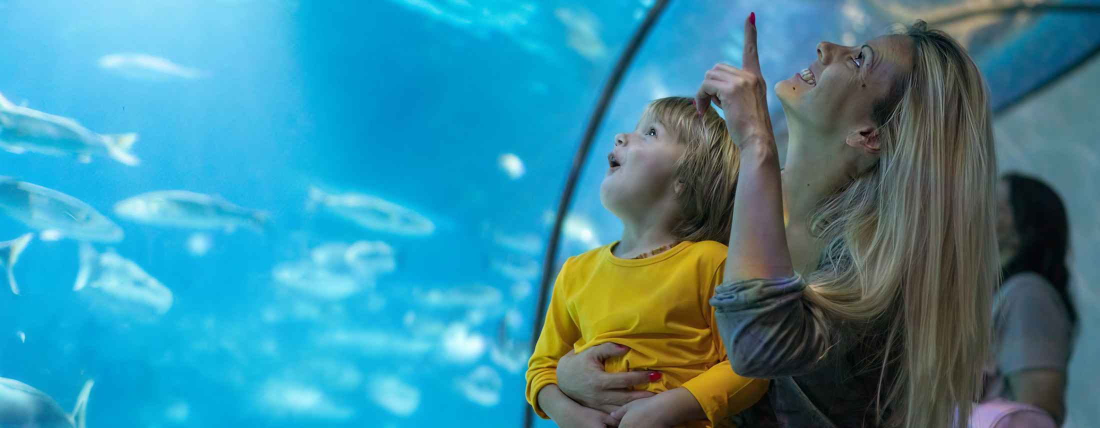 New York City Aquarium, Case study by CR38® digital agency